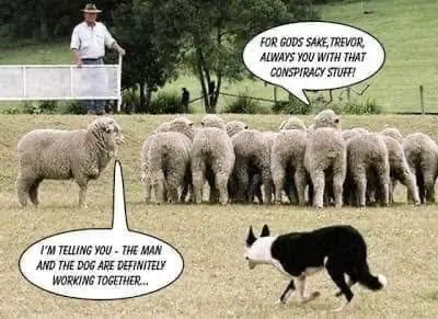 management