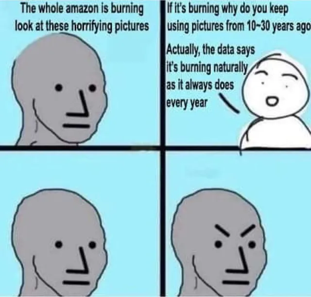 amazon burning